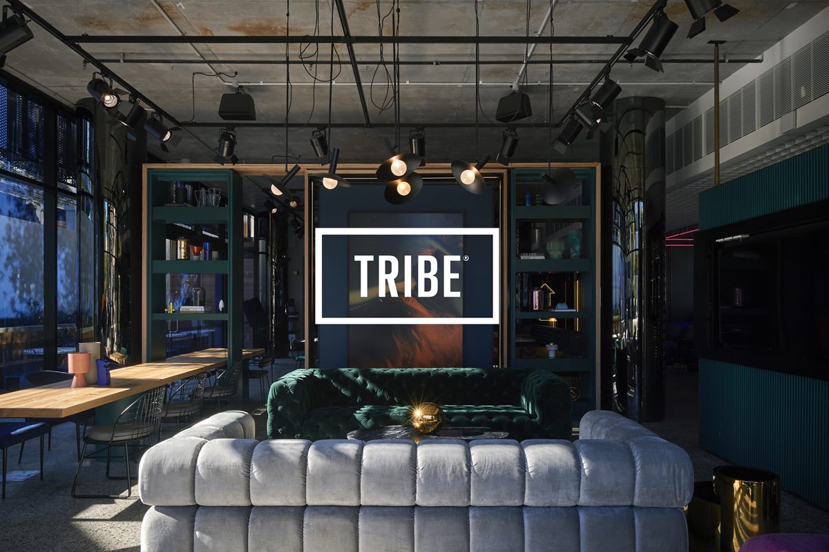 TRIBE Logo