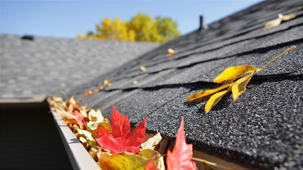 Dach-Check im Herbst